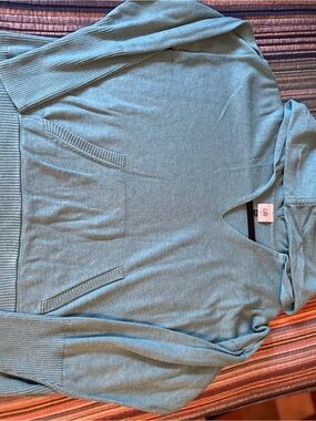 CAbi Crewneck Hoodie Sweater in Light Blue